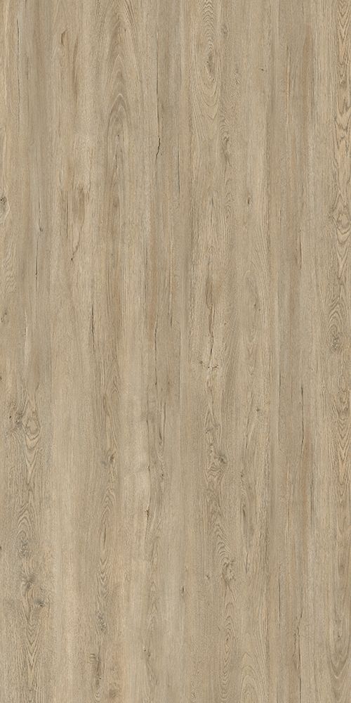 Silver Maple