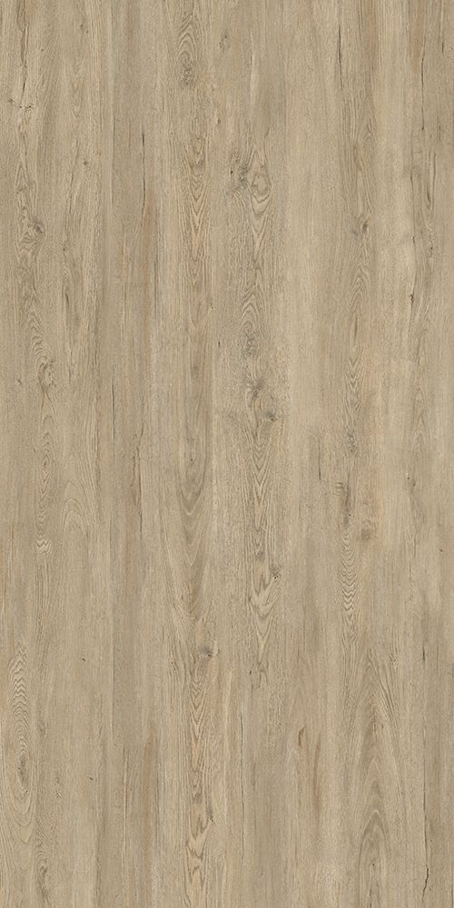 Silver Maple