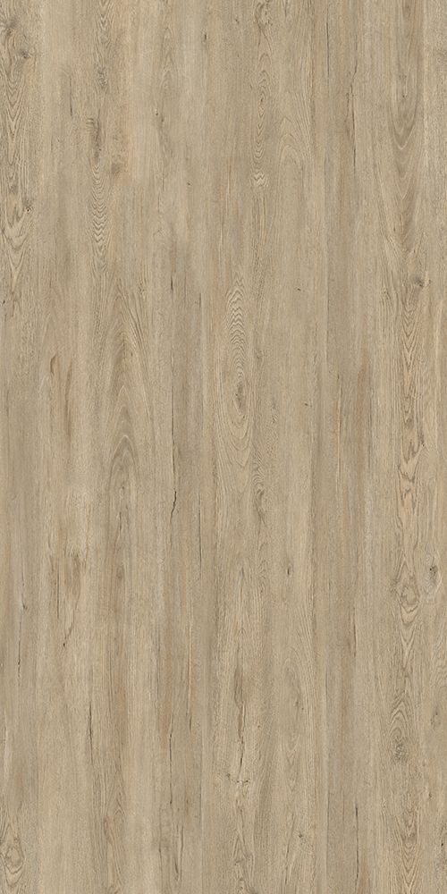 Silver Maple
