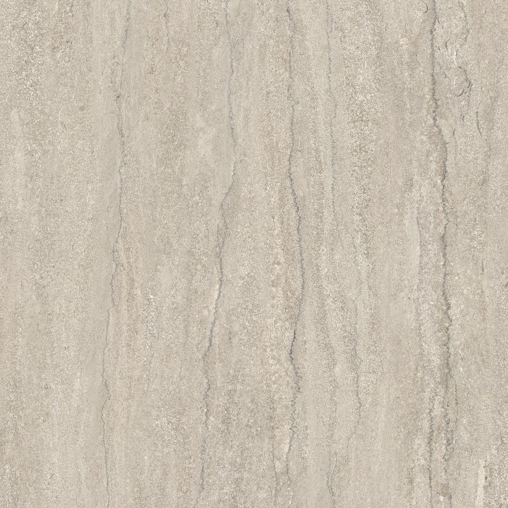 Fossile Taupe