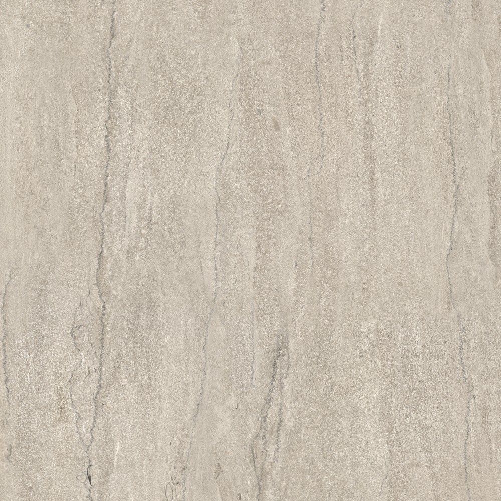 Fossile Taupe