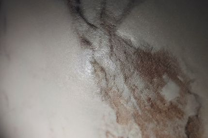 Grip Tech