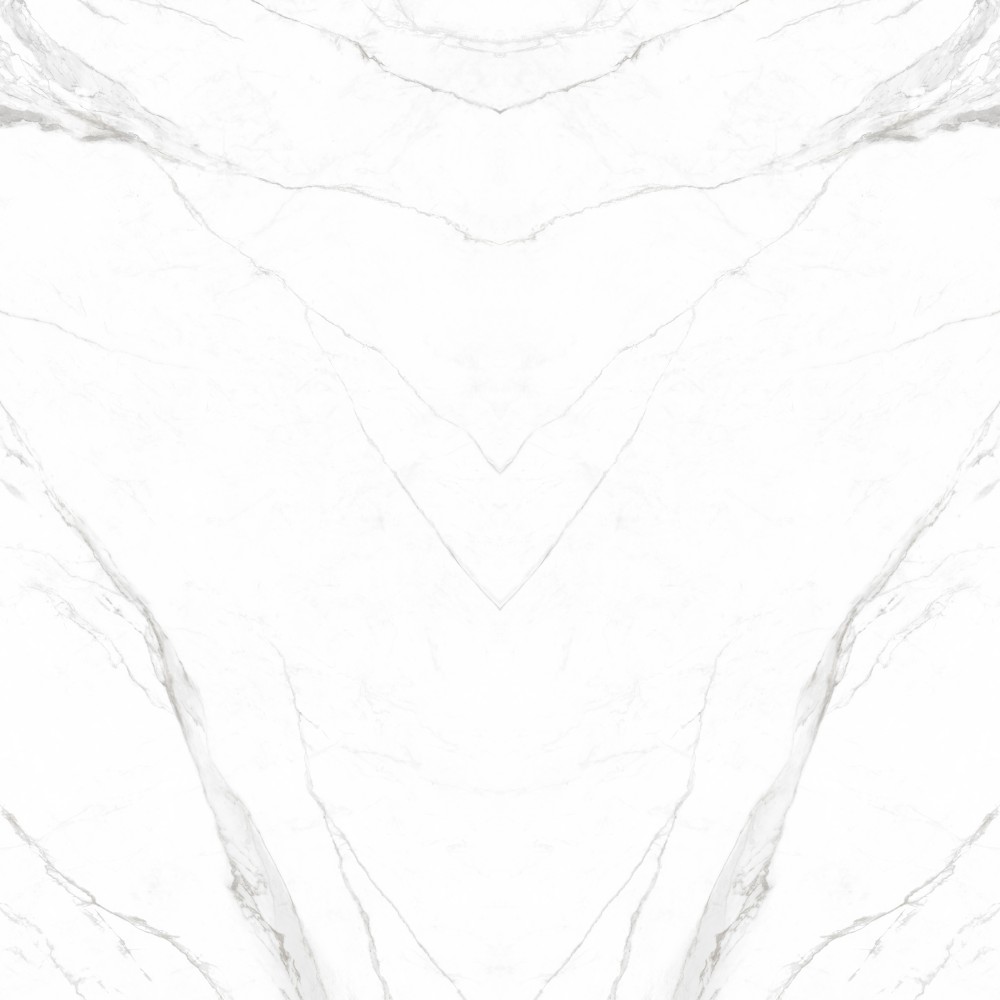 皇家鱼肚白 Royal White